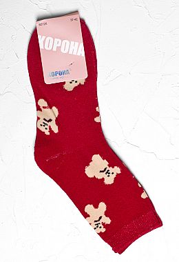 Фото Носки NP1-209.06 Фото Носки NP1-209.06