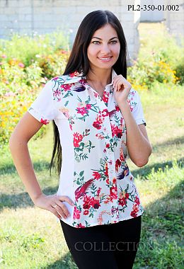 Фото Блуза PL2-350 Фото Блуза PL2-350