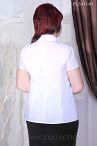 Блуза PL2-811 01 46-52 Блуза PL2-811 01 46-52