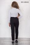 Брюки DS-008 02  Брюки DS-008 02