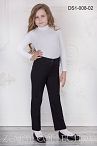 Брюки DS-008 02  Брюки DS-008 02