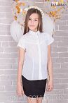 Блуза DL1-049 01  Блуза DL1-049 01