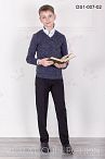 Брюки DS1-007 02  Брюки DS1-007 02