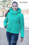 Куртка PK1-316 33 44-50 Куртка PK1-316 33 44-50
