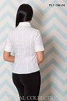 Блуза PL1-194 04 44-50 Блуза PL1-194 04 44-50